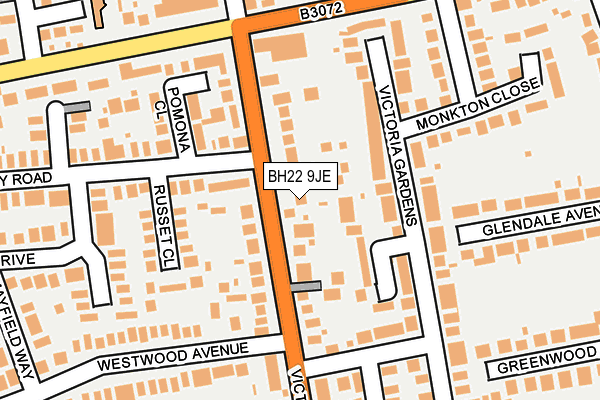BH22 9JE map - OS OpenMap – Local (Ordnance Survey)