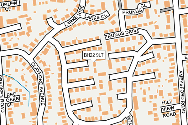BH22 9LT map - OS OpenMap – Local (Ordnance Survey)