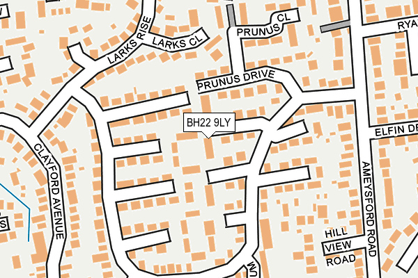 BH22 9LY map - OS OpenMap – Local (Ordnance Survey)