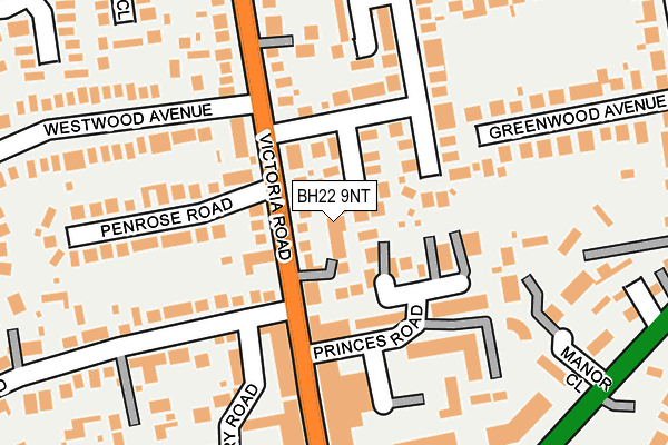 BH22 9NT map - OS OpenMap – Local (Ordnance Survey)