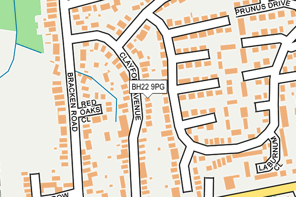 BH22 9PG map - OS OpenMap – Local (Ordnance Survey)