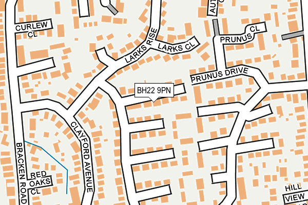 BH22 9PN map - OS OpenMap – Local (Ordnance Survey)
