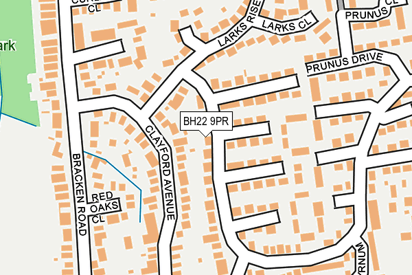 BH22 9PR map - OS OpenMap – Local (Ordnance Survey)