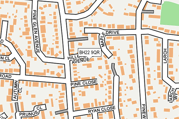 BH22 9QR map - OS OpenMap – Local (Ordnance Survey)