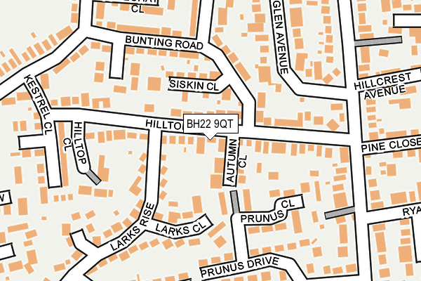 BH22 9QT map - OS OpenMap – Local (Ordnance Survey)