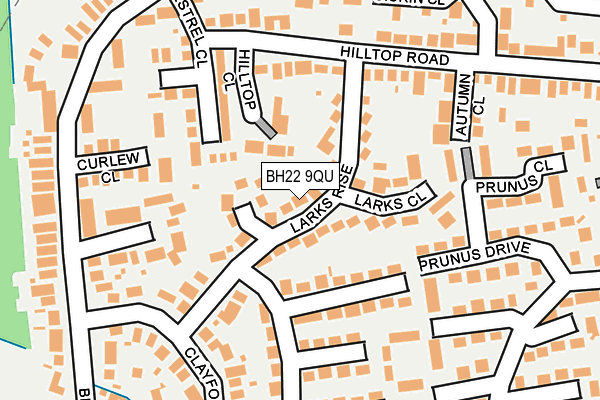 BH22 9QU map - OS OpenMap – Local (Ordnance Survey)
