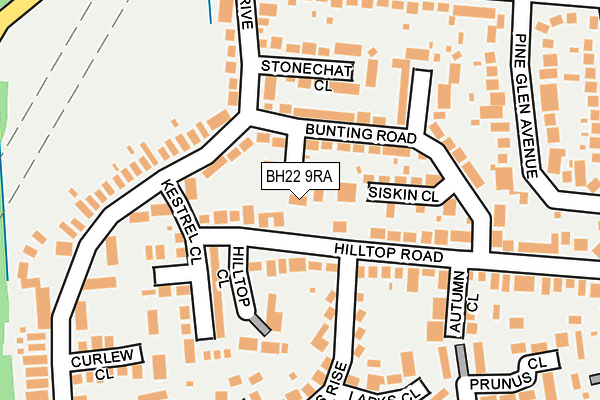 BH22 9RA map - OS OpenMap – Local (Ordnance Survey)