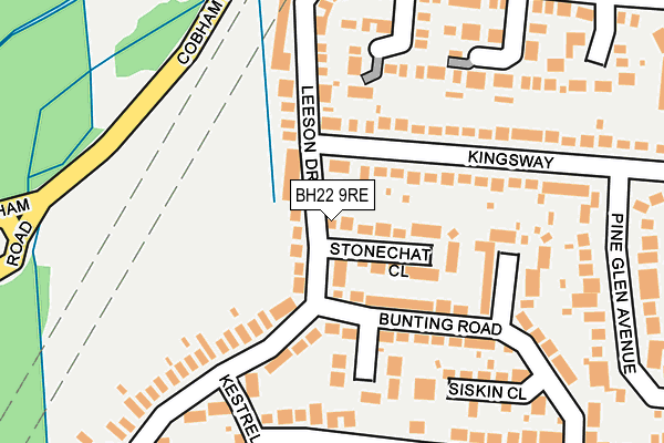 BH22 9RE map - OS OpenMap – Local (Ordnance Survey)