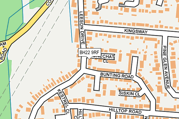 BH22 9RF map - OS OpenMap – Local (Ordnance Survey)