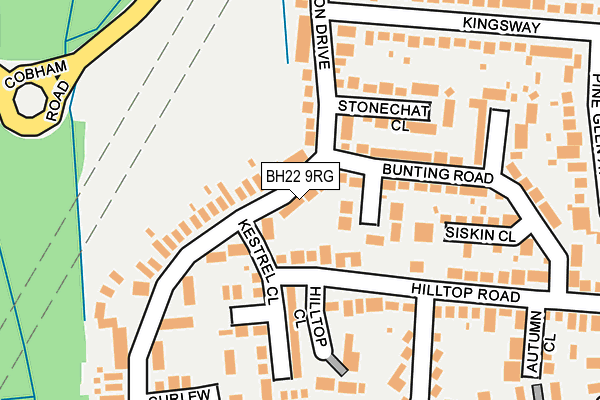BH22 9RG map - OS OpenMap – Local (Ordnance Survey)