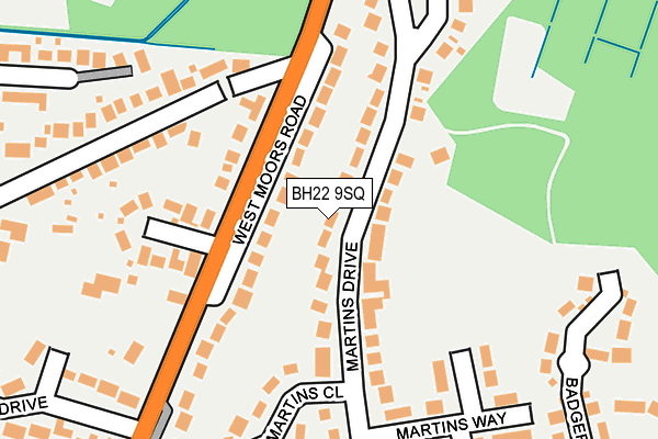 BH22 9SQ map - OS OpenMap – Local (Ordnance Survey)