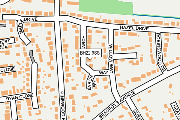 BH22 9SS map - OS OpenMap – Local (Ordnance Survey)