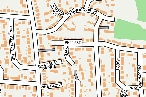 BH22 9ST map - OS OpenMap – Local (Ordnance Survey)