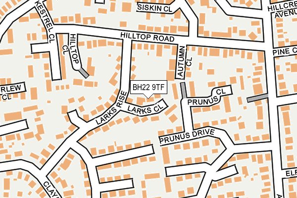 BH22 9TF map - OS OpenMap – Local (Ordnance Survey)