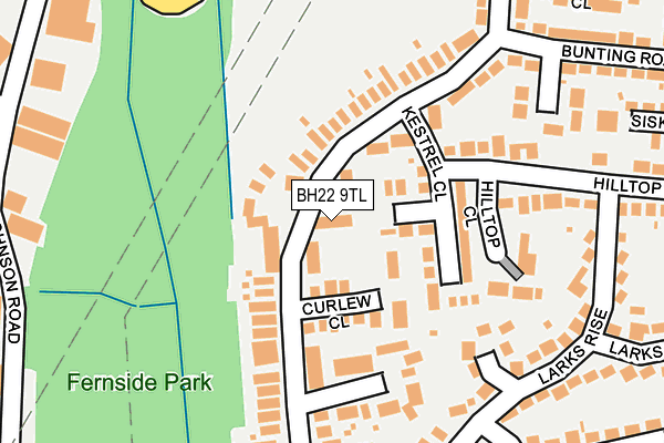 BH22 9TL map - OS OpenMap – Local (Ordnance Survey)