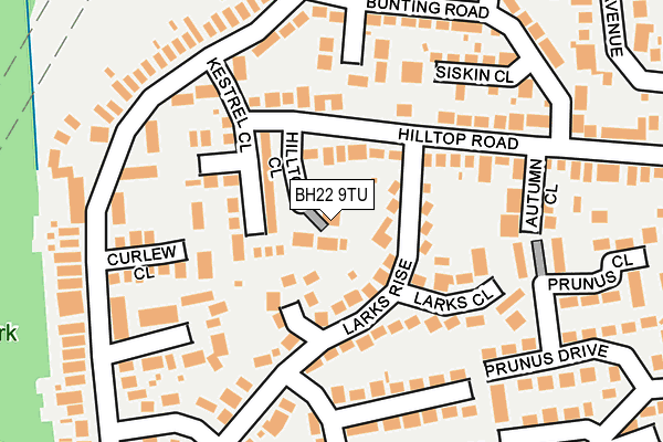 BH22 9TU map - OS OpenMap – Local (Ordnance Survey)
