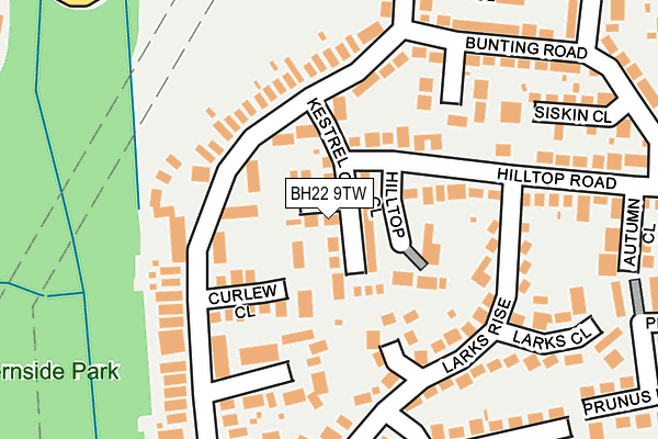 BH22 9TW map - OS OpenMap – Local (Ordnance Survey)