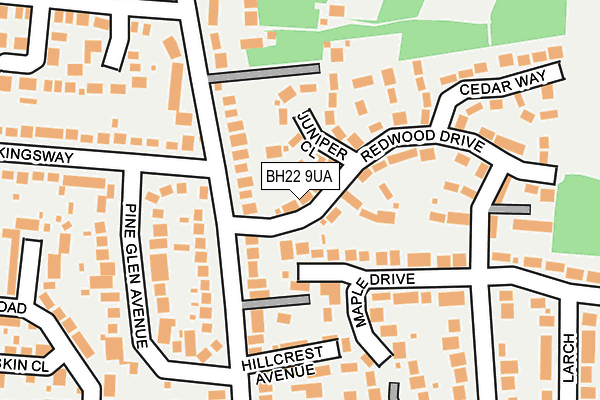 BH22 9UA map - OS OpenMap – Local (Ordnance Survey)