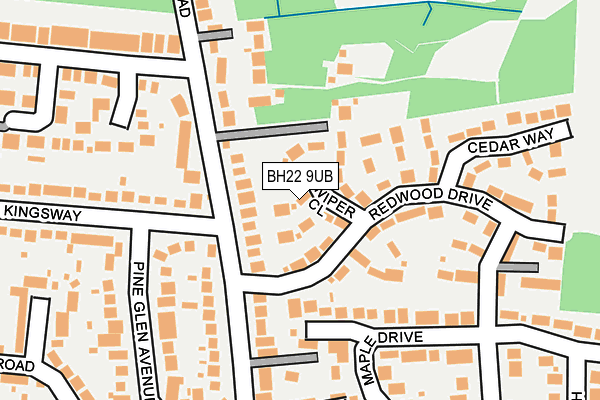 BH22 9UB map - OS OpenMap – Local (Ordnance Survey)