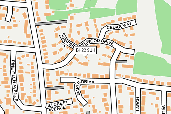 BH22 9UH map - OS OpenMap – Local (Ordnance Survey)