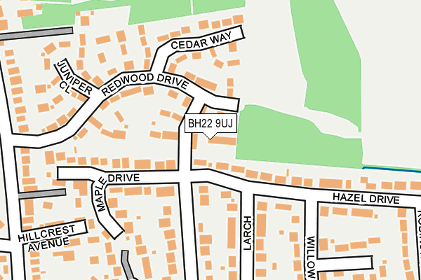 BH22 9UJ map - OS OpenMap – Local (Ordnance Survey)
