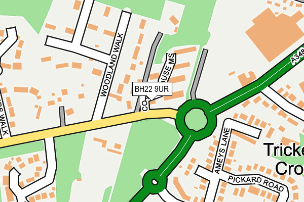 BH22 9UR map - OS OpenMap – Local (Ordnance Survey)