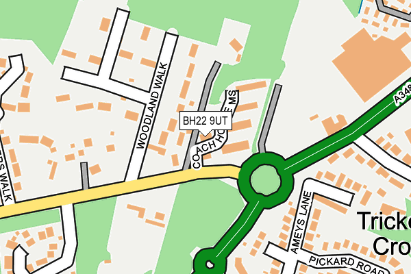 BH22 9UT map - OS OpenMap – Local (Ordnance Survey)