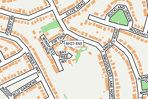 BH23 4NS map - OS OpenMap – Local (Ordnance Survey)