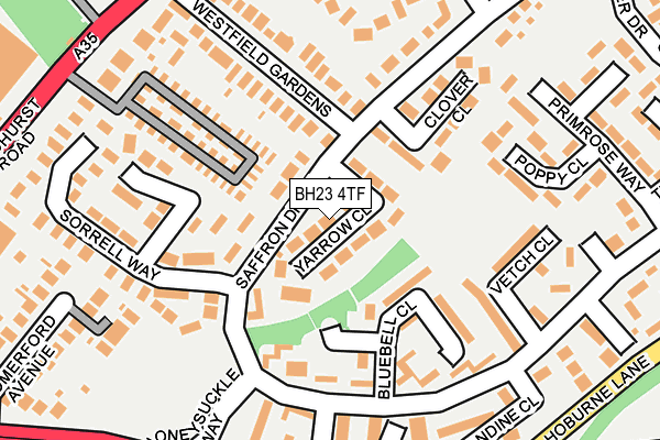 BH23 4TF map - OS OpenMap – Local (Ordnance Survey)