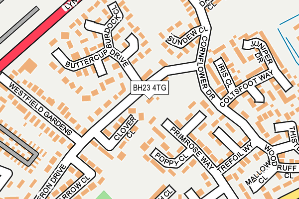 BH23 4TG map - OS OpenMap – Local (Ordnance Survey)