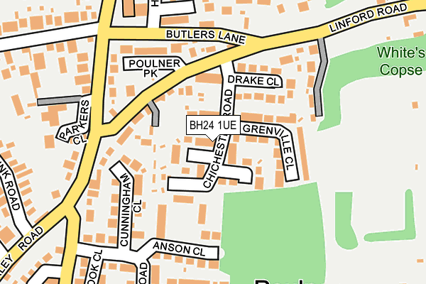 BH24 1UE map - OS OpenMap – Local (Ordnance Survey)