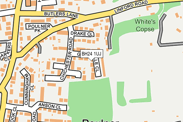 BH24 1UJ map - OS OpenMap – Local (Ordnance Survey)