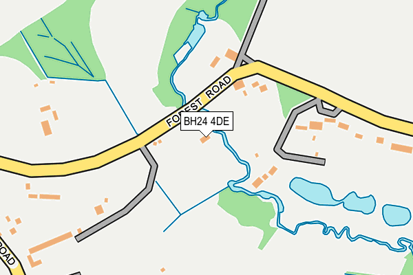BH24 4DE map - OS OpenMap – Local (Ordnance Survey)