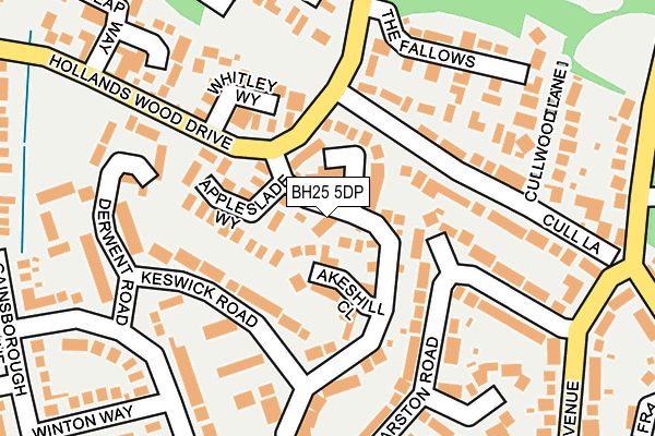BH25 5DP map - OS OpenMap – Local (Ordnance Survey)