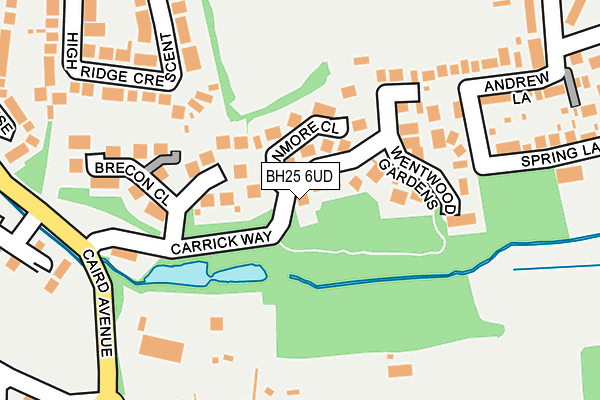 BH25 6UD map - OS OpenMap – Local (Ordnance Survey)