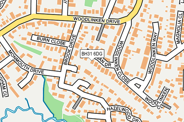 BH31 6DG map - OS OpenMap – Local (Ordnance Survey)
