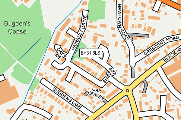BH31 6LS map - OS OpenMap – Local (Ordnance Survey)