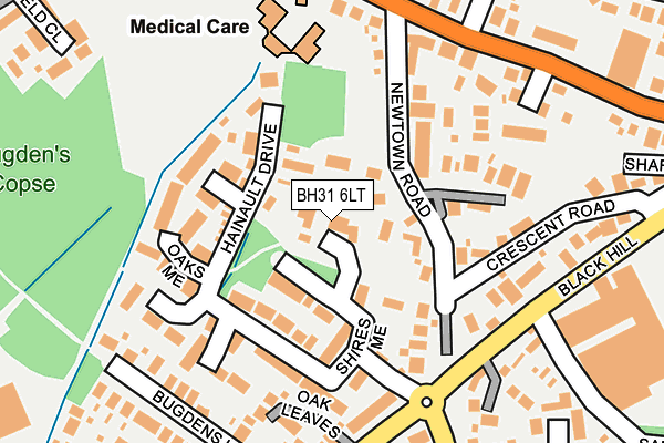 BH31 6LT map - OS OpenMap – Local (Ordnance Survey)