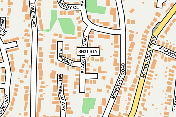 BH31 6TA map - OS OpenMap – Local (Ordnance Survey)