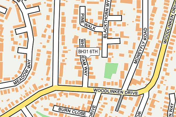 BH31 6TH map - OS OpenMap – Local (Ordnance Survey)