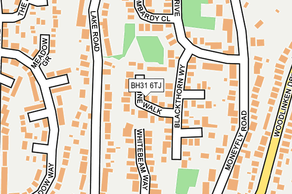 BH31 6TJ map - OS OpenMap – Local (Ordnance Survey)