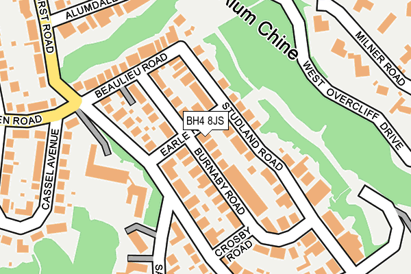 BH4 8JS map - OS OpenMap – Local (Ordnance Survey)