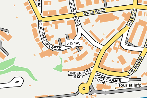 BH5 1AS map - OS OpenMap – Local (Ordnance Survey)