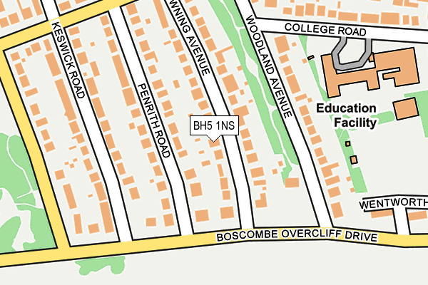 BH5 1NS map - OS OpenMap – Local (Ordnance Survey)