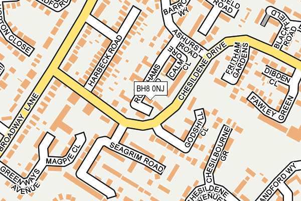 BH8 0NJ map - OS OpenMap – Local (Ordnance Survey)