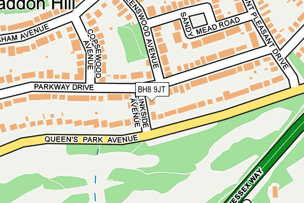 BH8 9JT map - OS OpenMap – Local (Ordnance Survey)