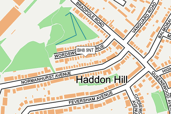 BH8 9NT map - OS OpenMap – Local (Ordnance Survey)