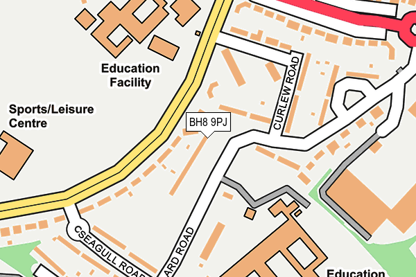 BH8 9PJ map - OS OpenMap – Local (Ordnance Survey)