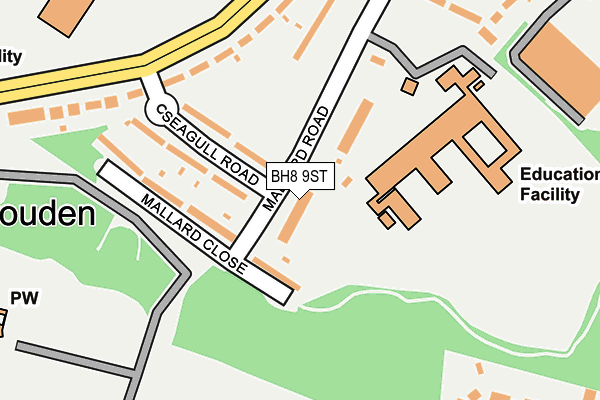 BH8 9ST map - OS OpenMap – Local (Ordnance Survey)