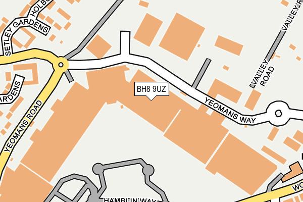 BH8 9UZ map - OS OpenMap – Local (Ordnance Survey)